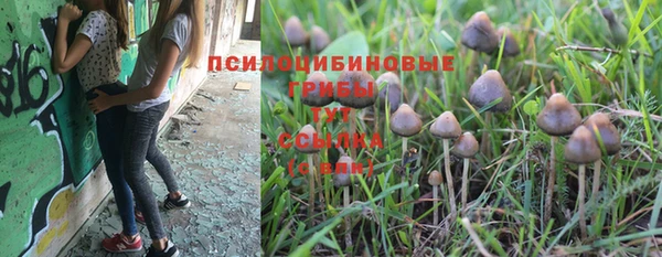 гашик Горно-Алтайск